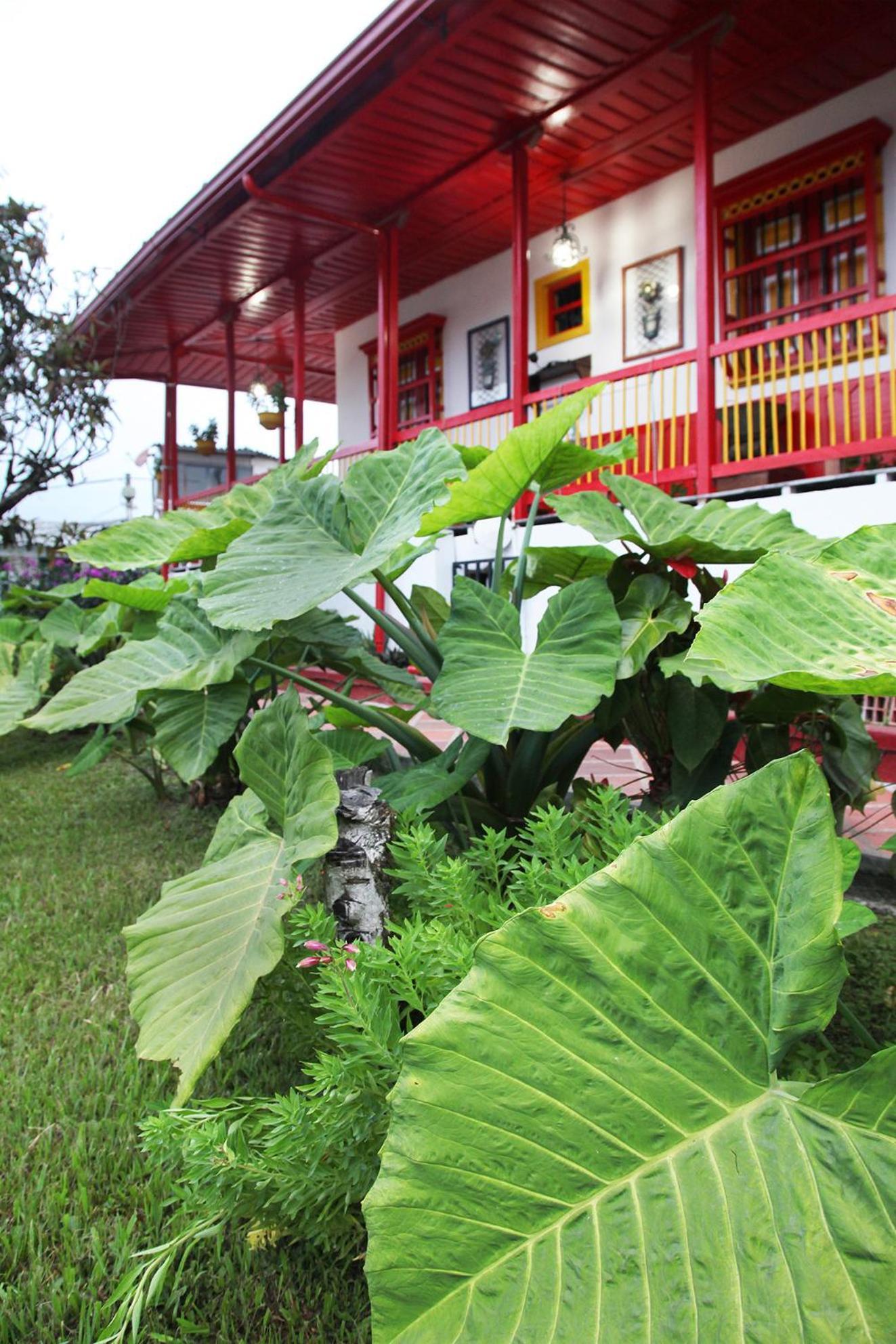 Coronel's Peak Coffee House Villa